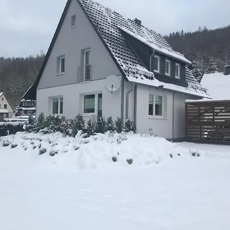 公寓 Am Koehlerhang Im Harz