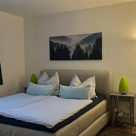 Am Koehlerhang Im Harz 公寓 *