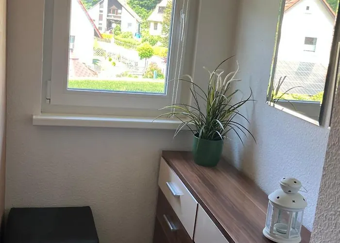 Apartman Am Koehlerhang Im Harz *