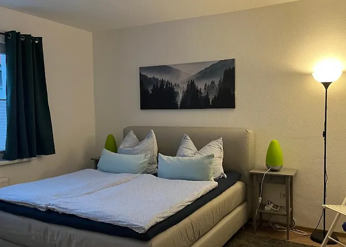 Am Koehlerhang Im Harz Apartman *